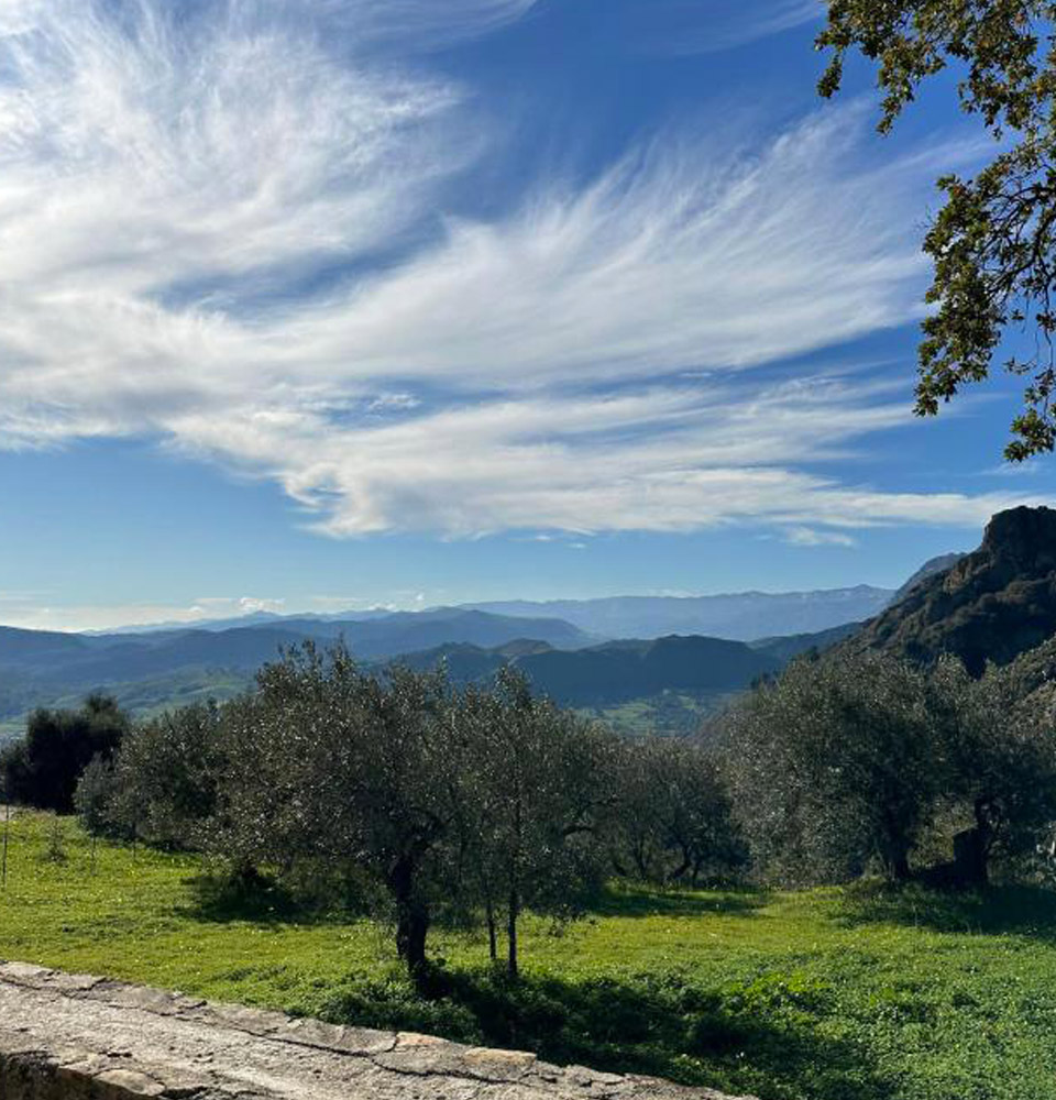 natura square 960x1000